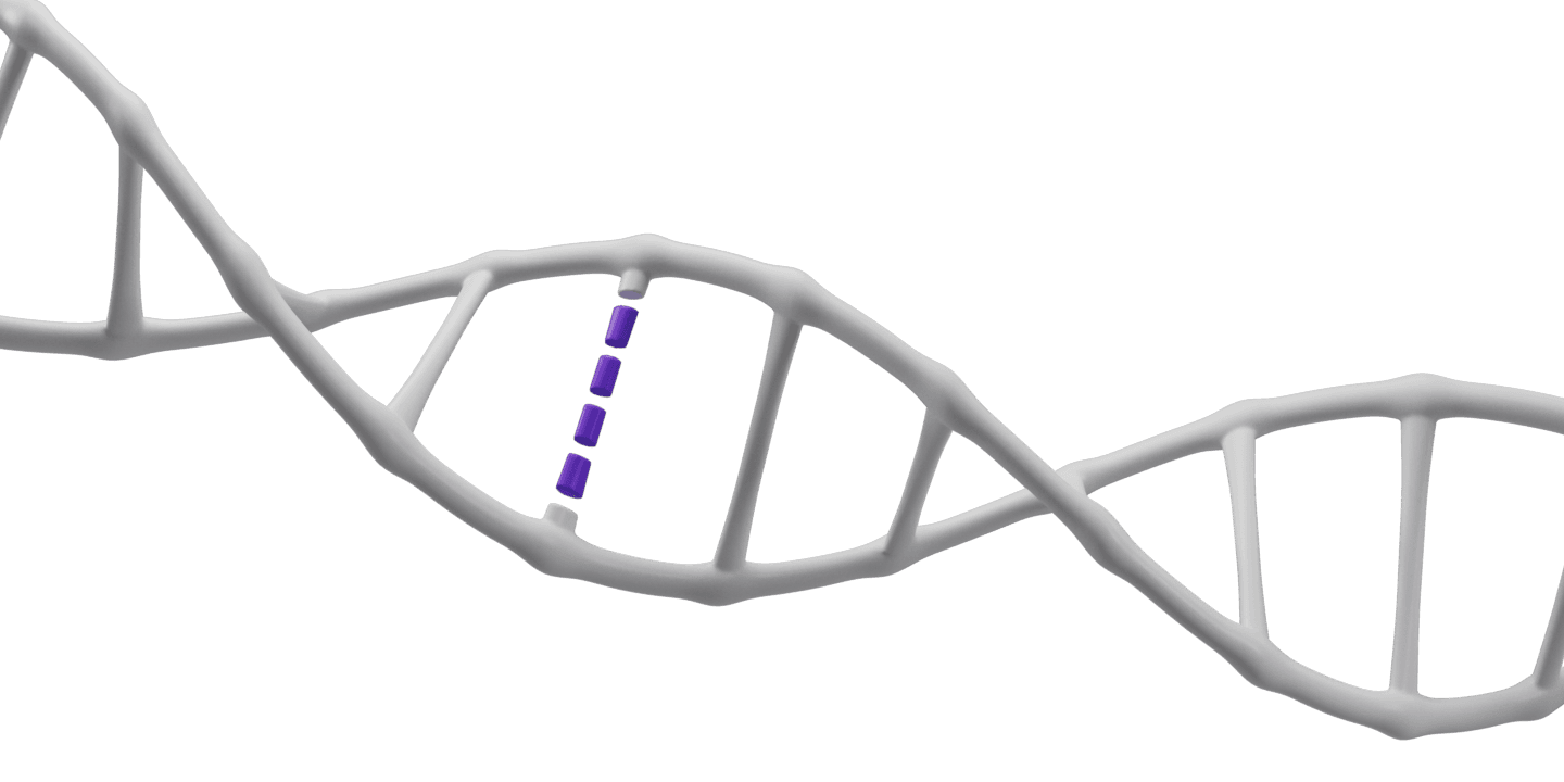 White DNA Strand with Purple Segment